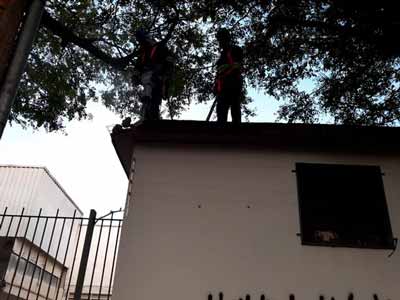 Clique aqui e saiba mais sobre Demolição de galpão industrial em Osasco